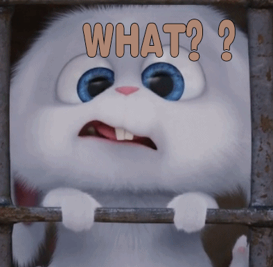 999出秋裤啦!进军时尚界,火到国资委?