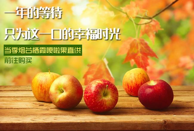 这四个角度，拉开不同用户运营体系的差距