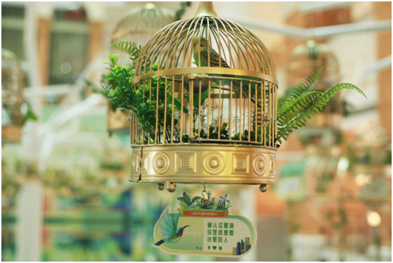 百雀羚618|百雀鸟语,一场沉浸式的电商