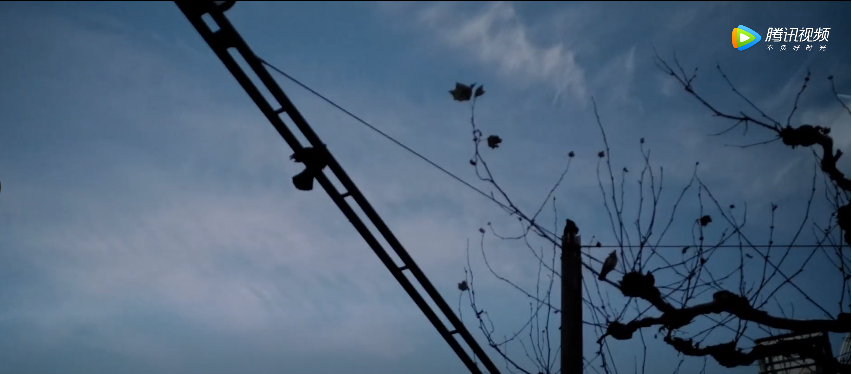 徕卡诗歌短片:凝结漂泊的云,显影无形的风