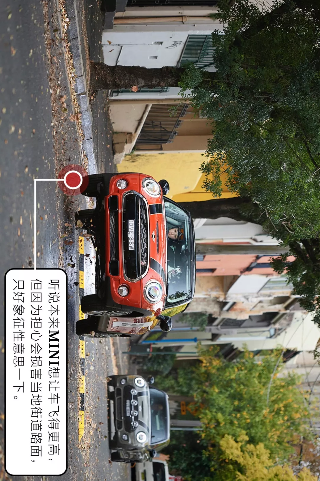  上街太危险了，一不小心就会遇到真爱