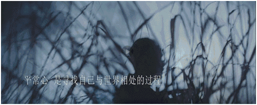 历练方得平常心,竹叶青年度品牌短片