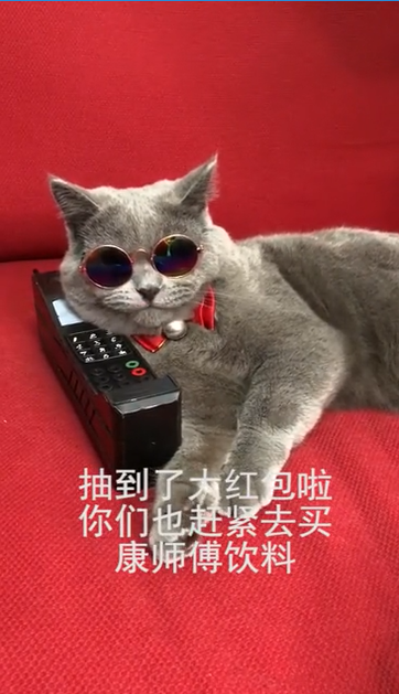 康师傅饮品新年营销火力全开,为春节营销再添教科书式案例