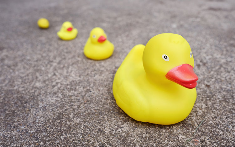 赠品,怎样选择「最合适、还新颖」?