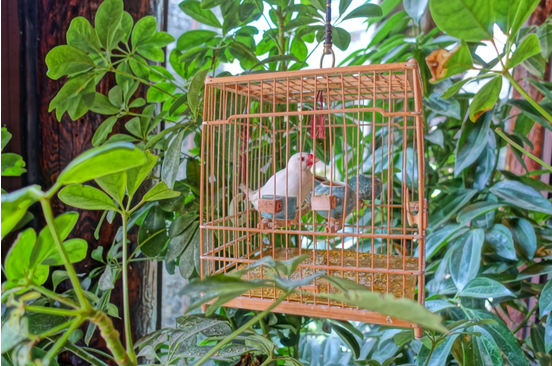 佘诗曼、梁烈唯现身北京为全友家居“绿活漂流居”