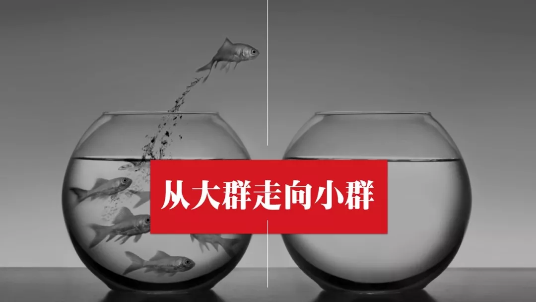 乌合之众是没有价值的 | 吴晓波频道4年运营秘诀