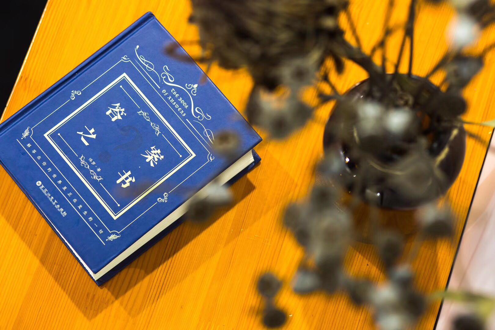 520当天,沈阳万象城开了一场只有7天的失恋展-爱情避难所