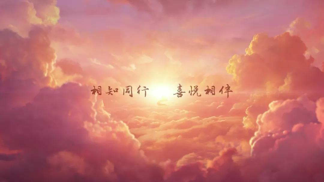 618的「猫狗大战」又开打了