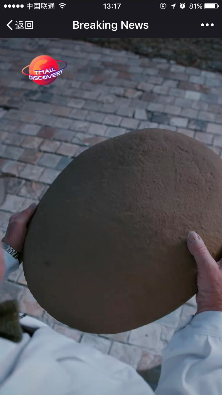 巨型宠物在北美发生多起袭击事件,原因竟然是......