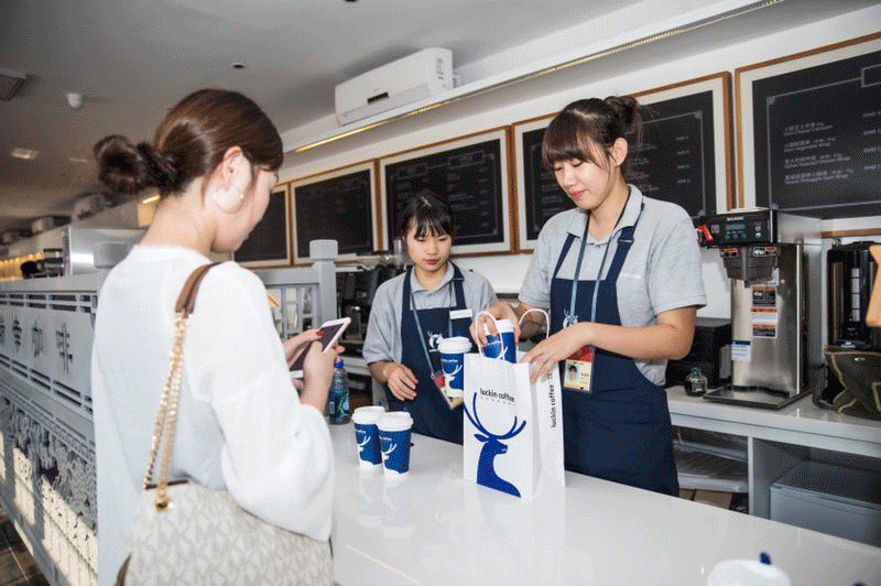 小白鹿跑,六阿哥追,主子们独宠小蓝杯