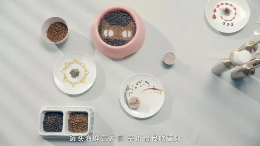 你在外面干的那些勾当,你家喵全知道!