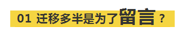 为什么咪蒙新号有留言?微信究竟什么时候重新开放留言!