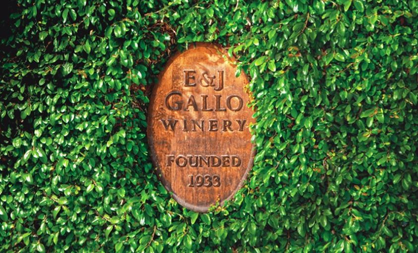 嘉露酒庄:从人类起源到太空登月