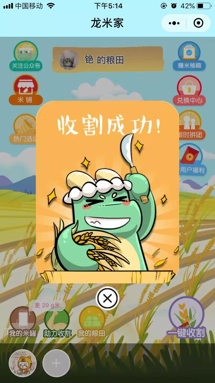 龙米家 | 我在小程序卖米有百万粉丝疯抢