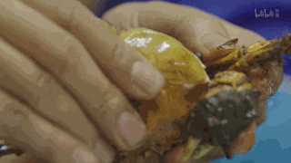 《人生一串》：中国版深夜食堂，烧烤和文案的双重暴击！