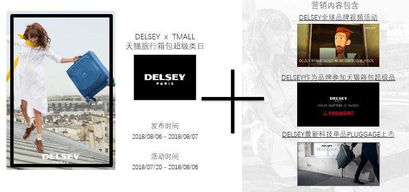 凯淳CRM-DELSEY超级品类日案例