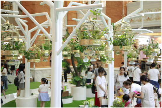 百雀羚618|百雀鸟语,一场沉浸式的电商