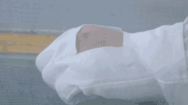 我这样的蚊子真让你不放心