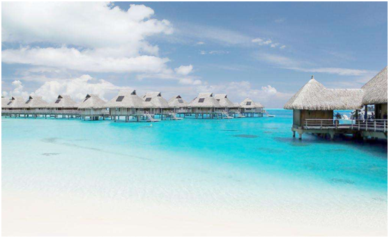 别人都在晒年会/年假/年终奖，而我就不一样了，我在____