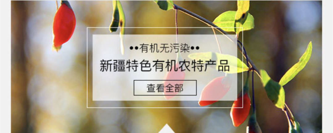 要点撒|共享经济下的新疆“名片”!