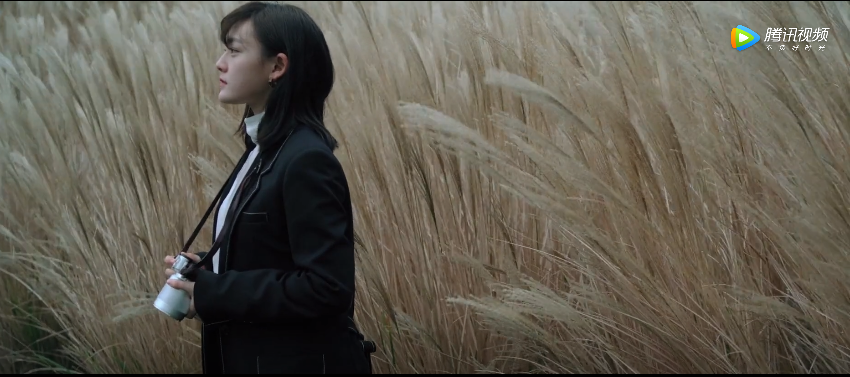 徕卡诗歌短片:凝结漂泊的云,显影无形的风