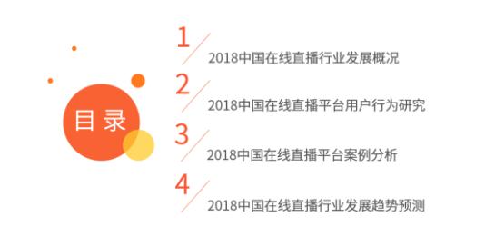 2018-2019中国在线直播行业研究报告