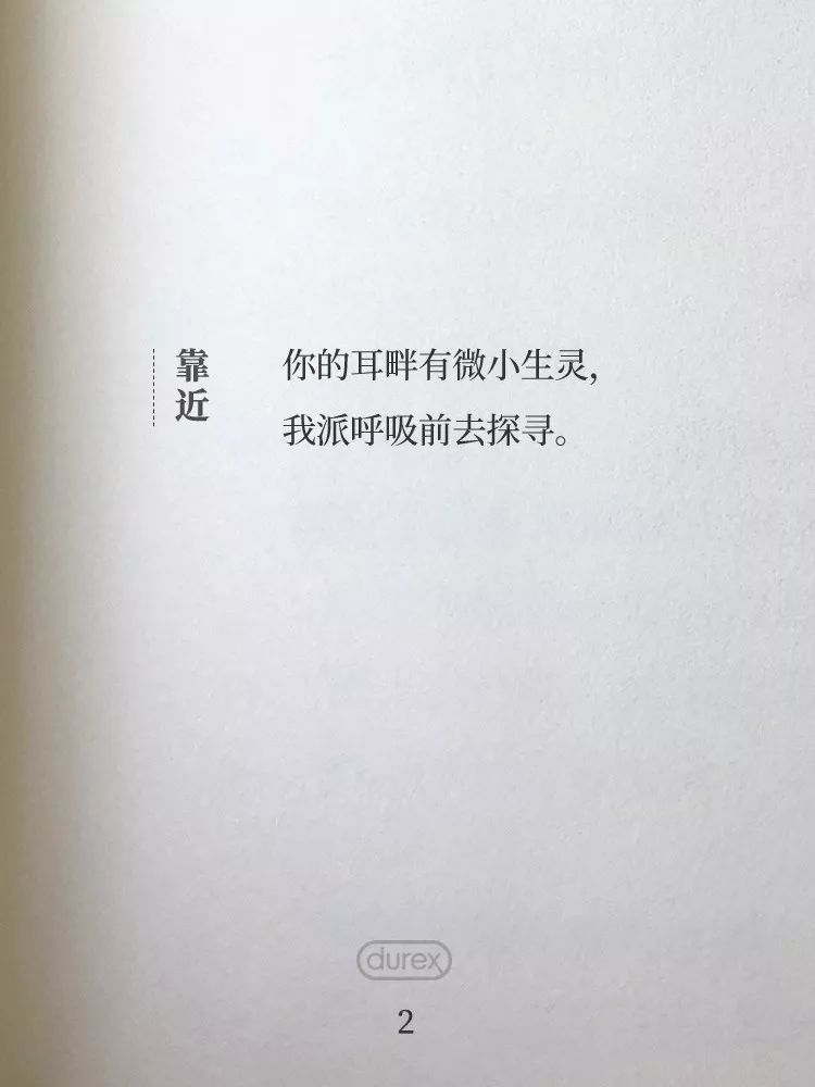 杜蕾斯诗集 | 四季全60首