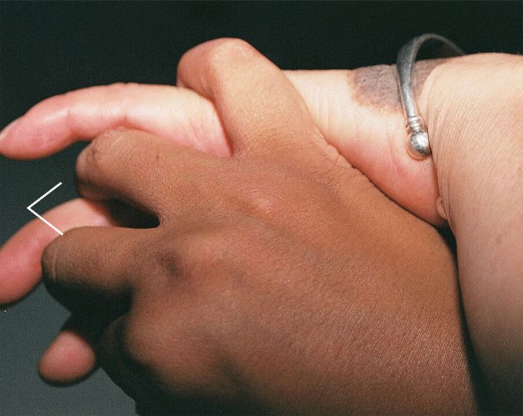 卡地亚艺术展:相遇于虚实交错的陌生风景中