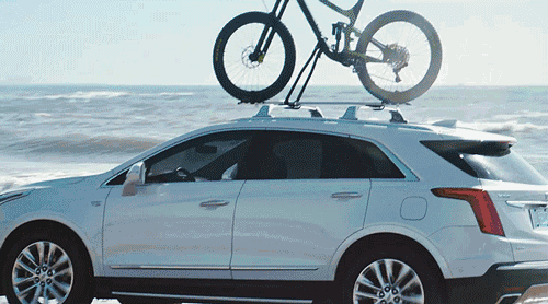 我们的各种不快,往往是我们走得太快