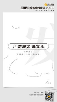 2017年度苏宁易购购物搜索词 TOP10主题海报