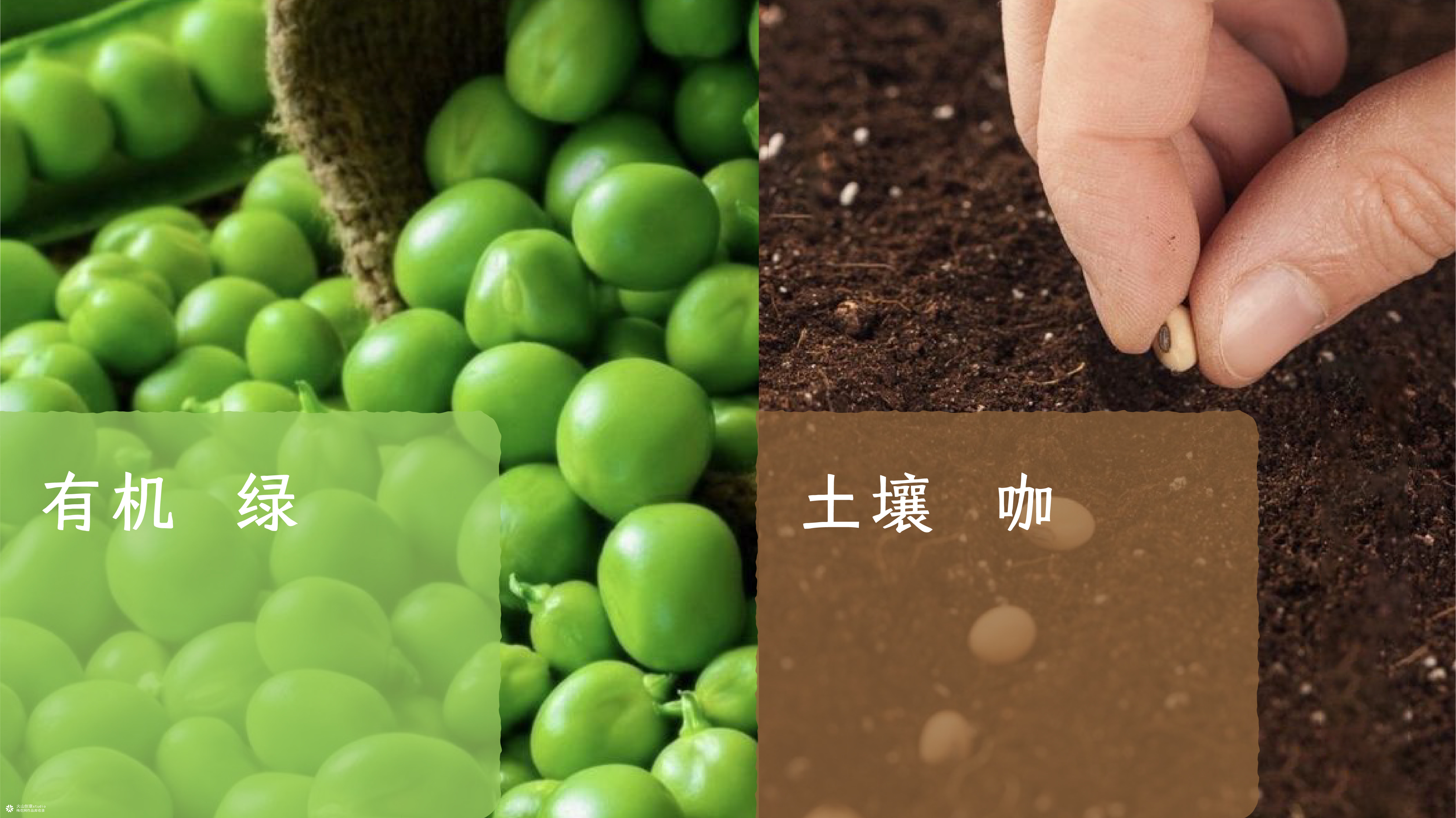 闲不住的阿俊：从达人IP到电商品牌设计全案|火山新作