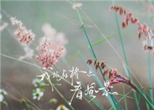 湖南卫视：电视剧《我站在桥上看风景》《植物版》系列海报