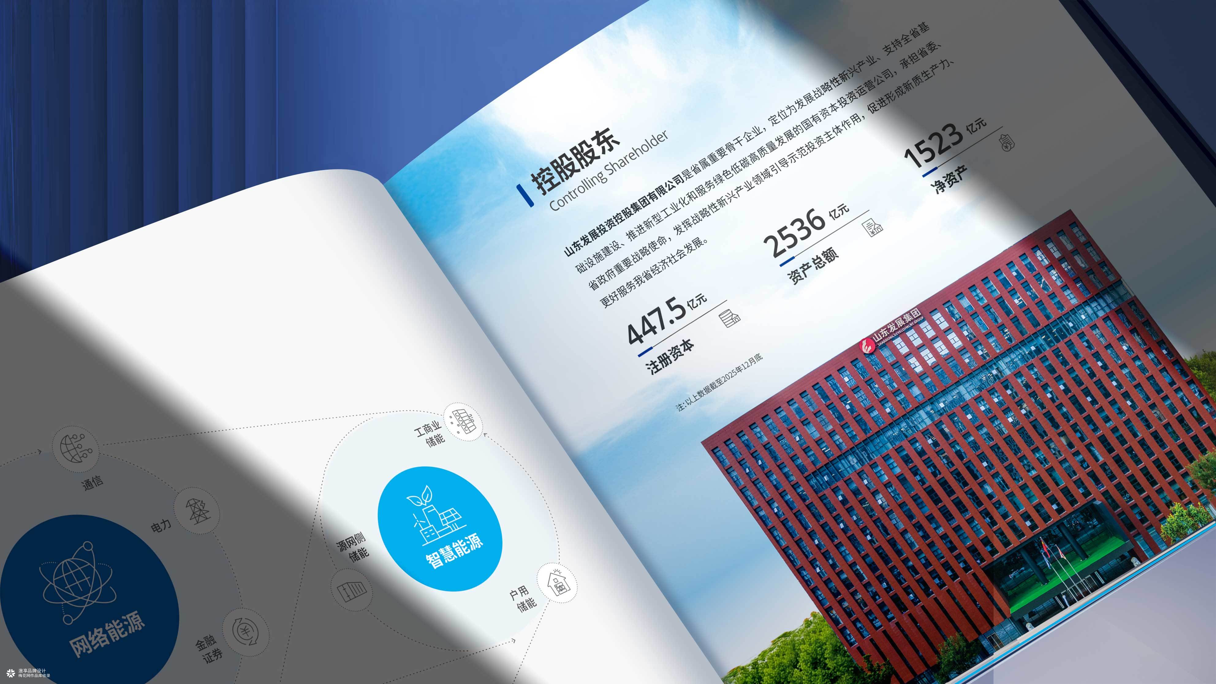 山东发展集团&圣阳股份新能源画册