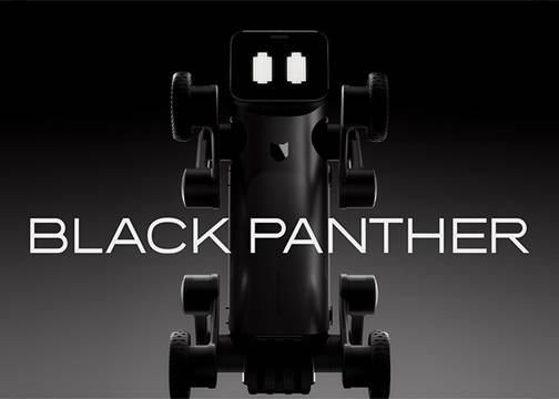 镜识黑豹，吉尼斯认证的全球蕞快机器人来了！