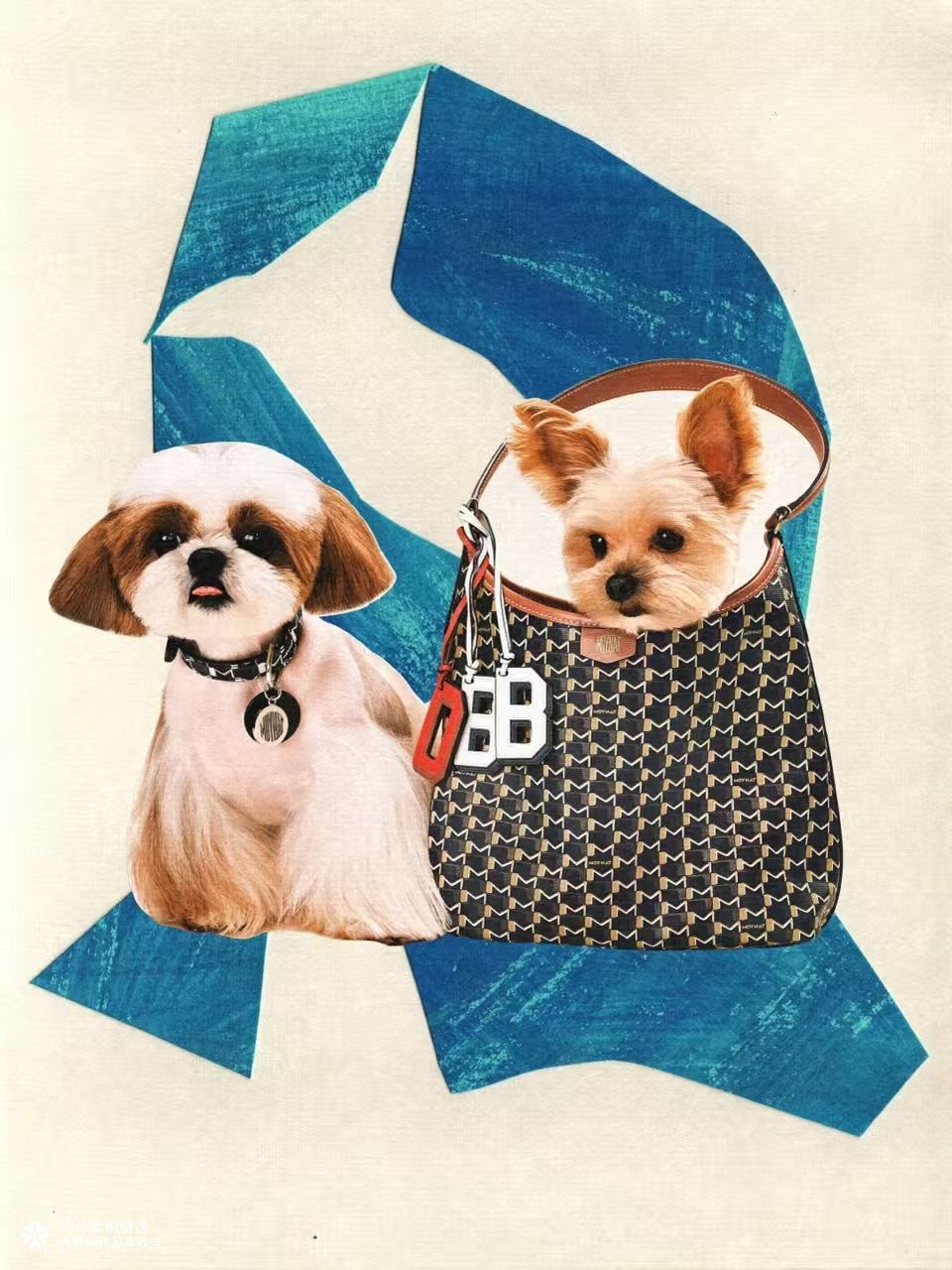 Moynat 520：将宠爱装进包里