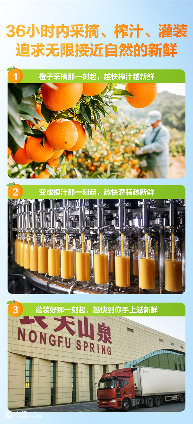 东方树叶 ✖ 杰视帮丨详情页设计