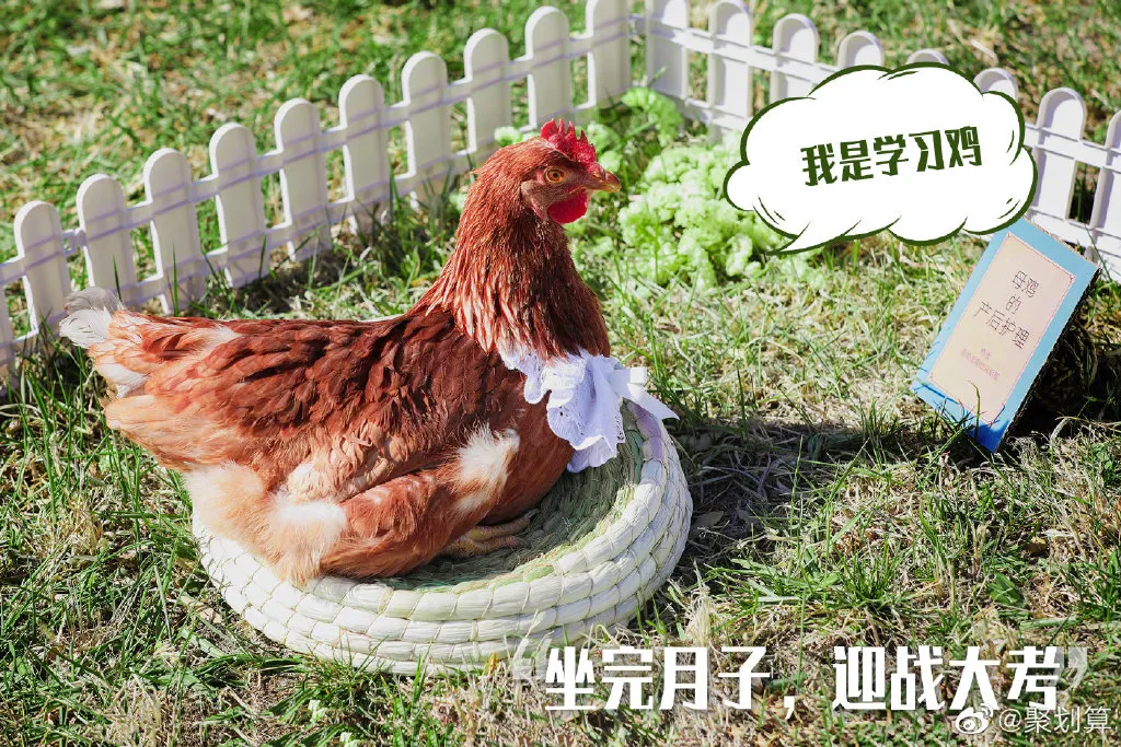 聚划算请一批鸡打广告还定下500万的kpi