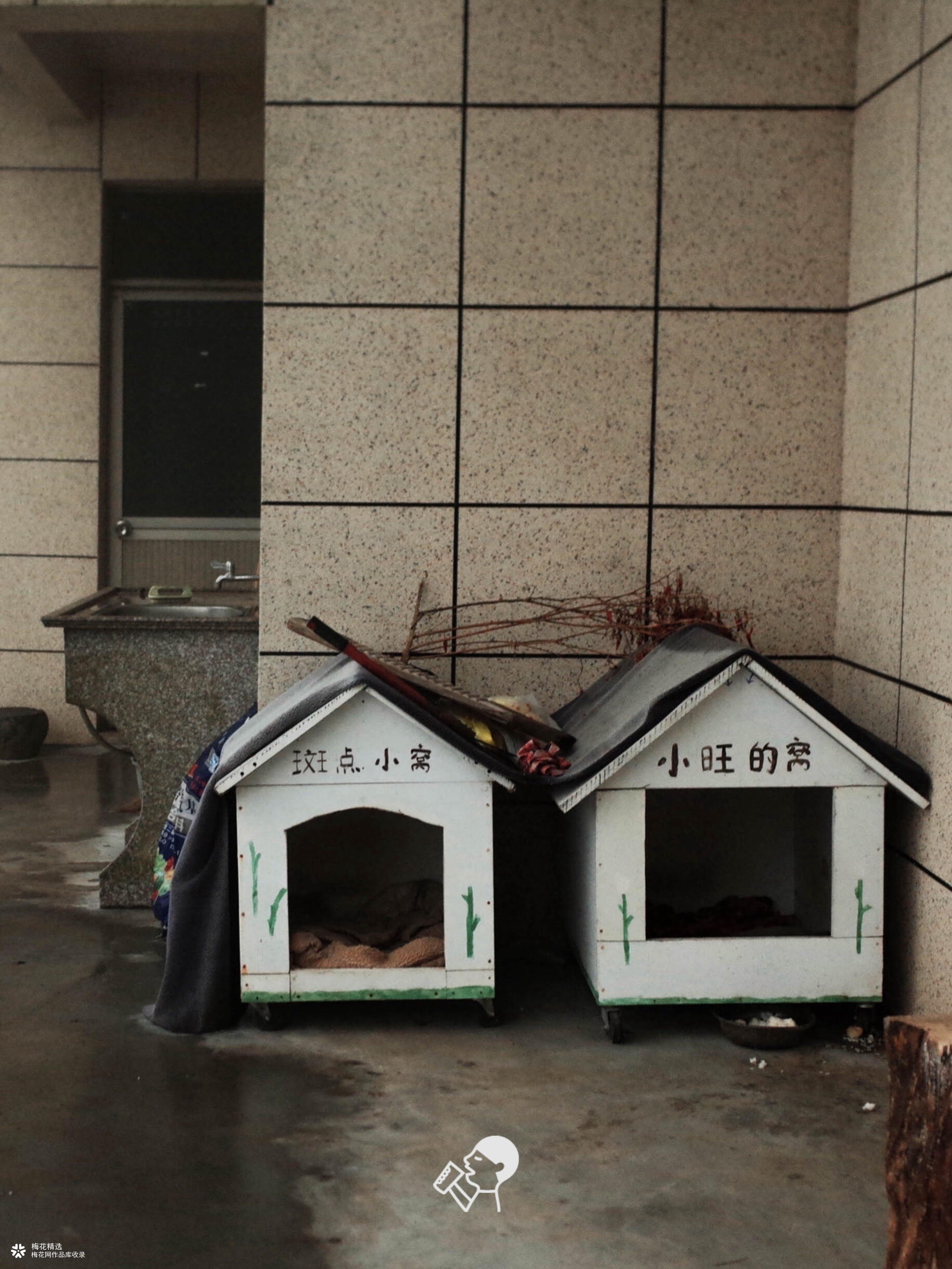 喜茶翻开了守茶人阿姨的茶园日记