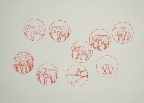 由500枚印章、2400张画稿制作的创意公益广告：象牙之殇