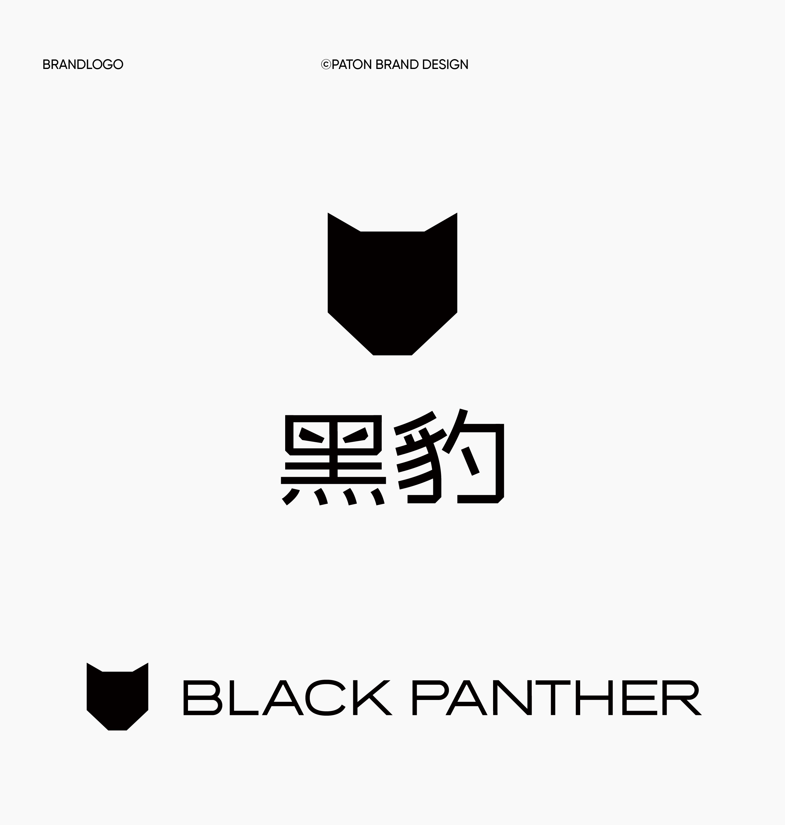 镜识黑豹，吉尼斯认证的全球蕞快机器人来了！