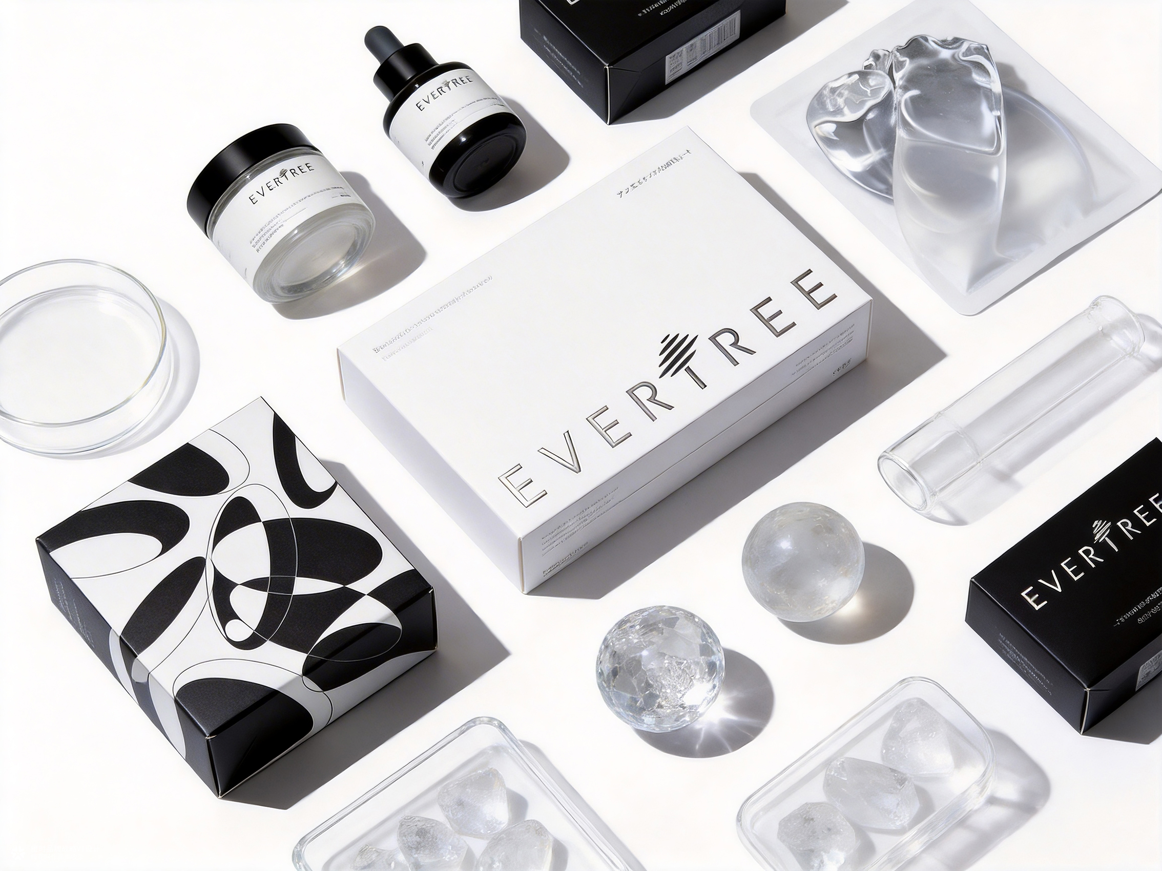 橙时 X 冻零树 | EVERTREE品牌形象设计