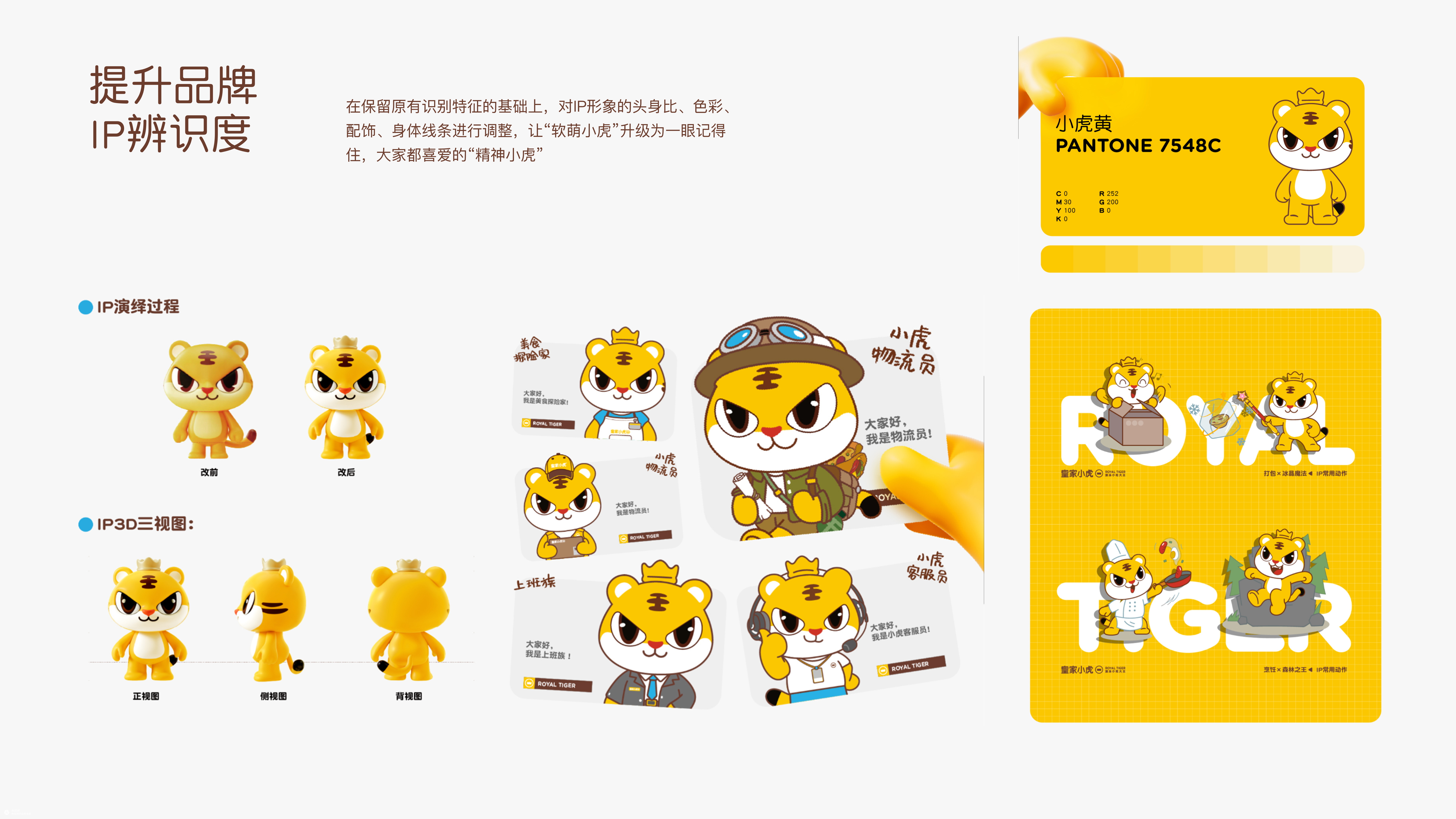 皇家小虎 X 杰视帮 | 品牌战略升级