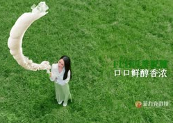 河南影视广告宣传片拍摄丨牧曰酸羊奶
