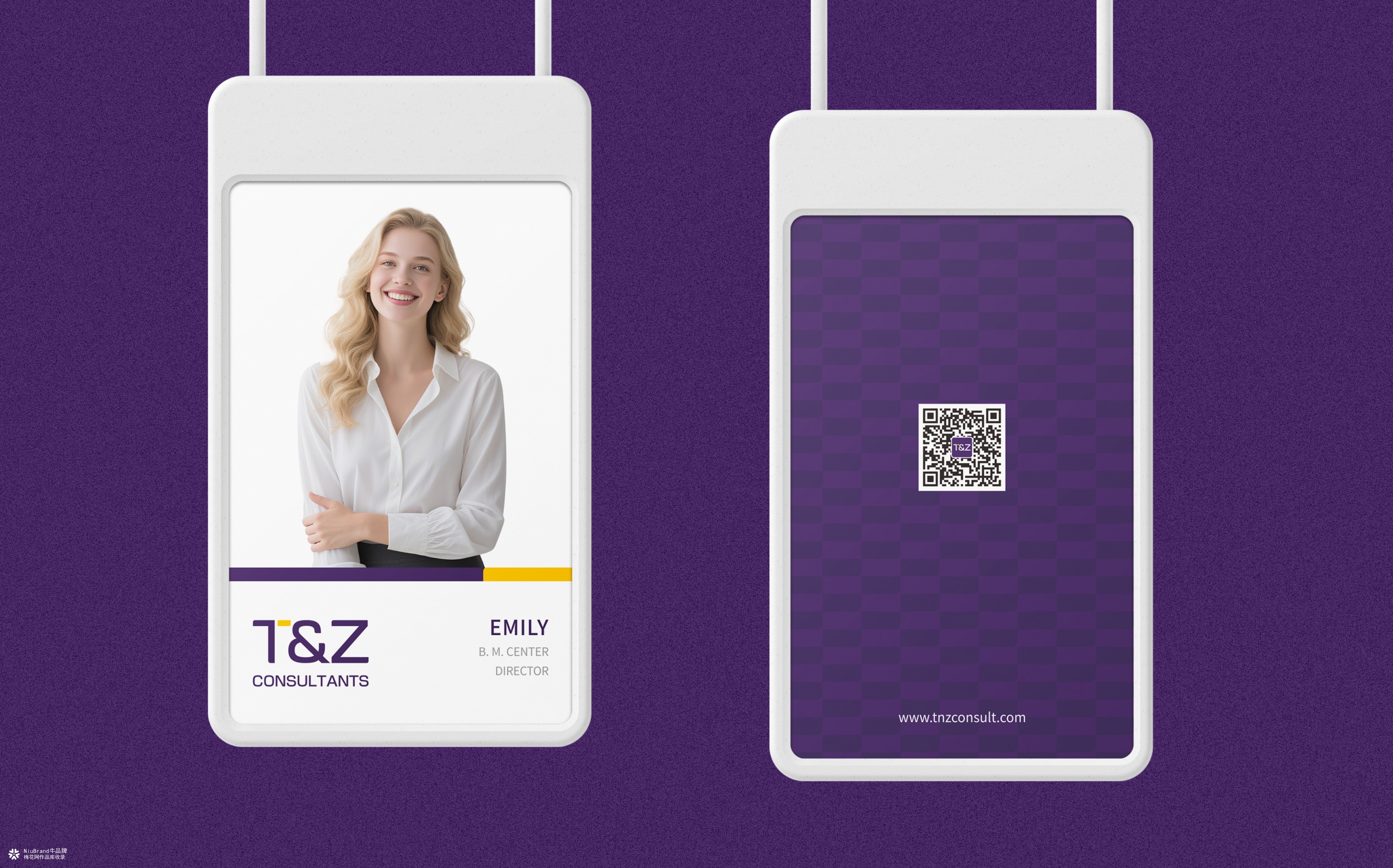 诺亚天泽保险经济品牌形象设计方案