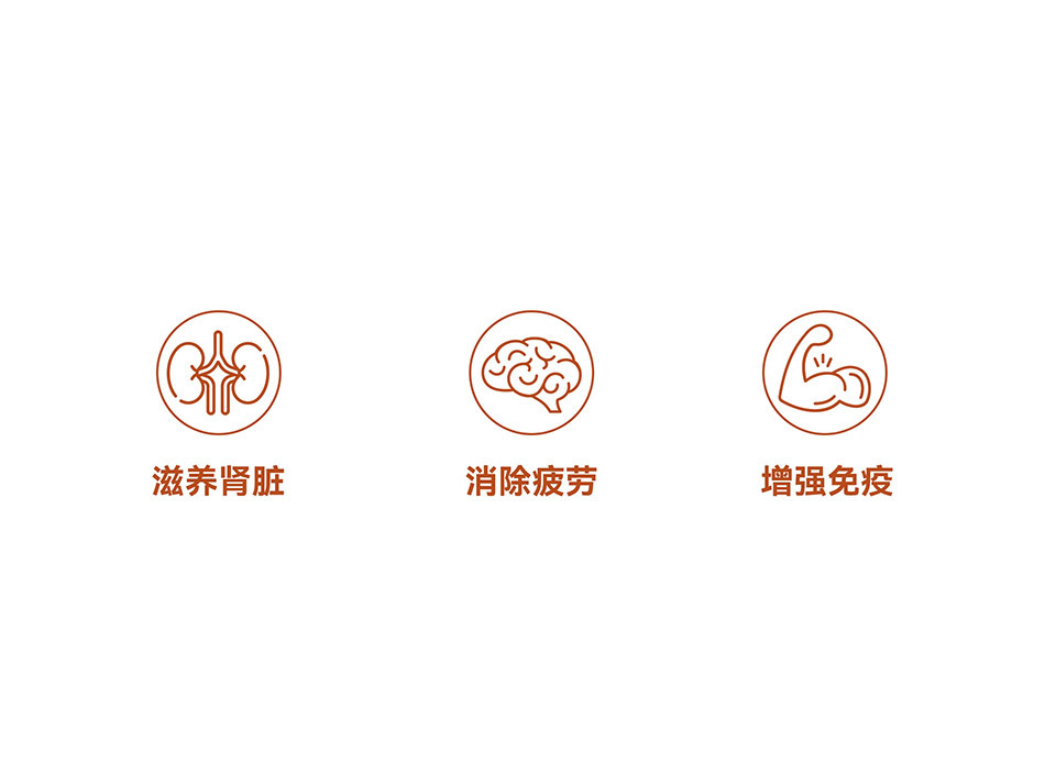 动力仁男士蓝帽保健食品全案｜合规高端滋补包装视觉设计
