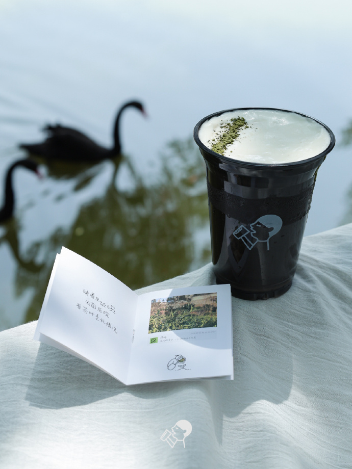 喜茶翻开了守茶人阿姨的茶园日记