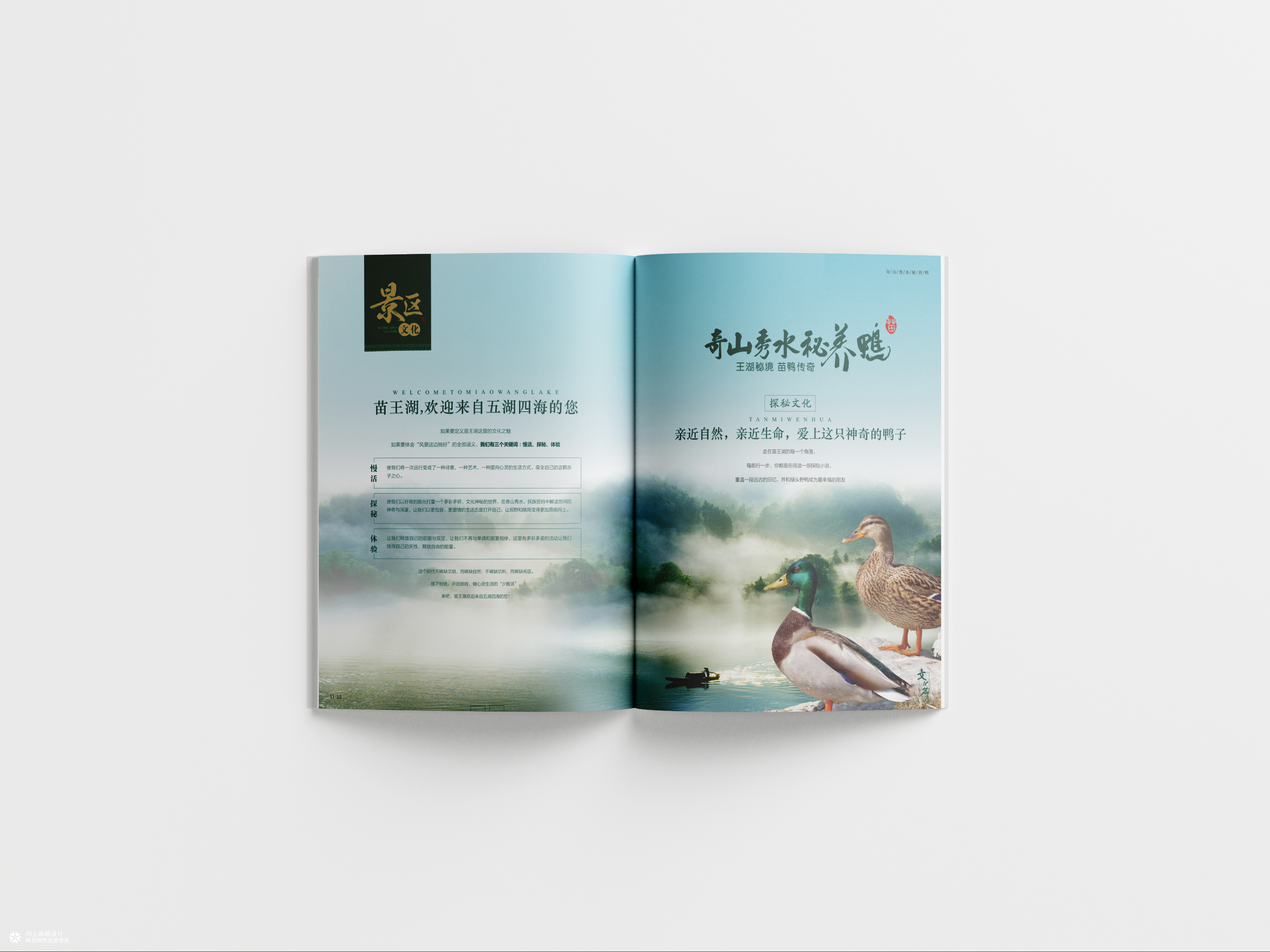 向上画册设计·原创案例｜贵州苗王湖野鸭产品品牌画册