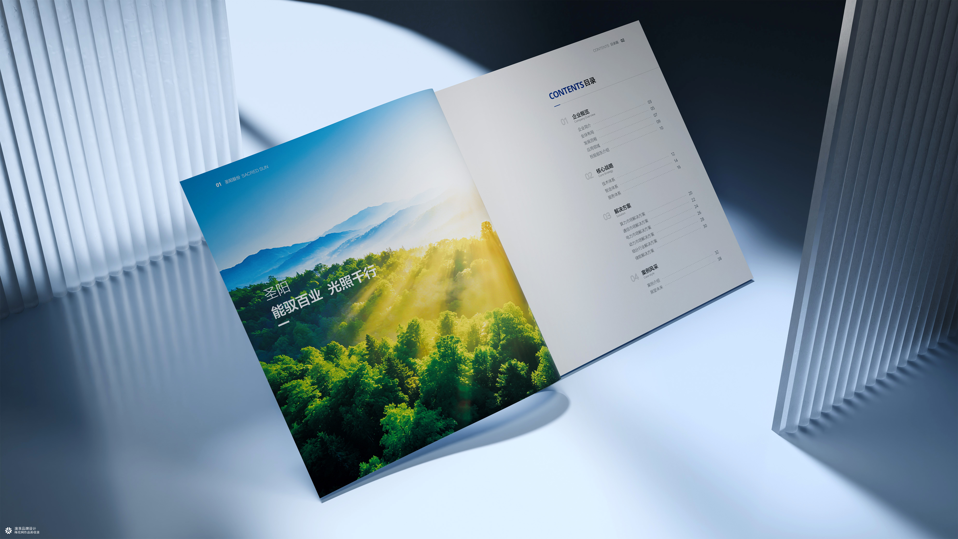 山东发展集团&圣阳股份新能源画册