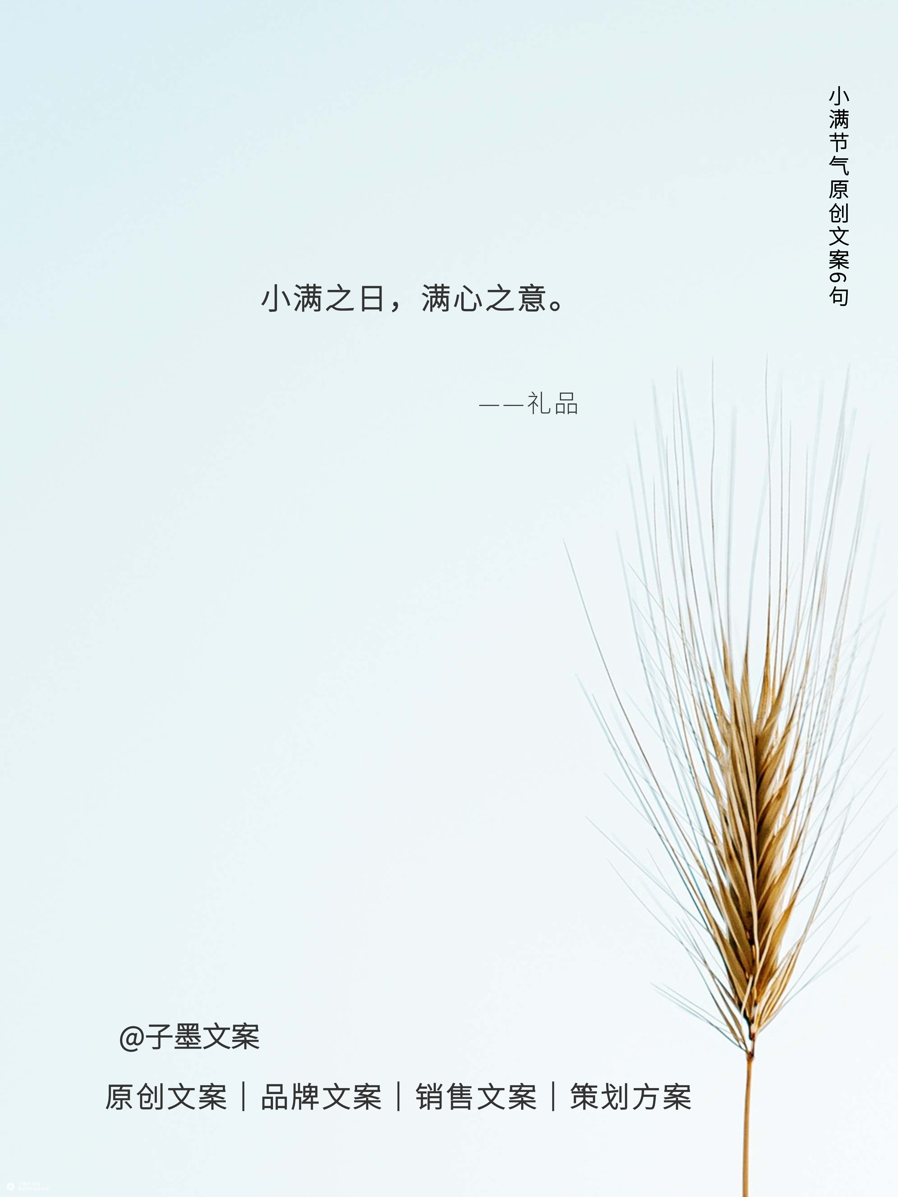 【小满节气文案】盈而未满，品味生活中的小美好