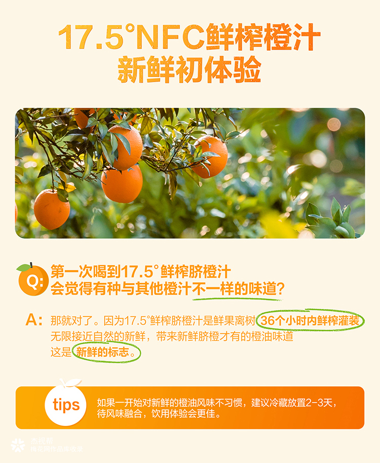 东方树叶 ✖ 杰视帮丨详情页设计